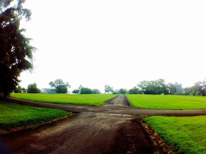 Paths in Bidadari